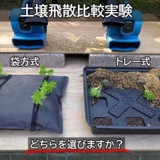 屋上緑化システム常緑キリンソウ袋方式とトレー式の土壌飛散実験対決