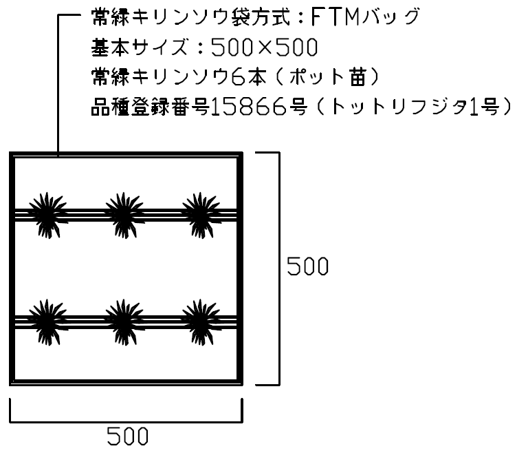 常緑キリンソウ袋方式の標準仕様を示す屋上緑化ユニットの画像